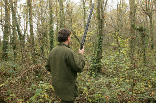shooter in woods