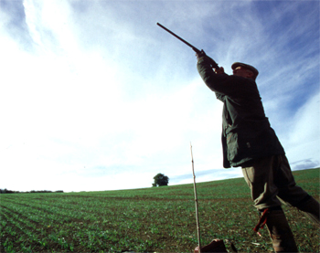 Whe game shooting I always miss birds overhead from behind!