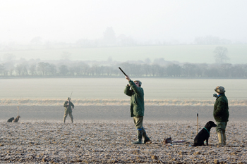 Pheasant and partridge shooting in Cambridgeshire