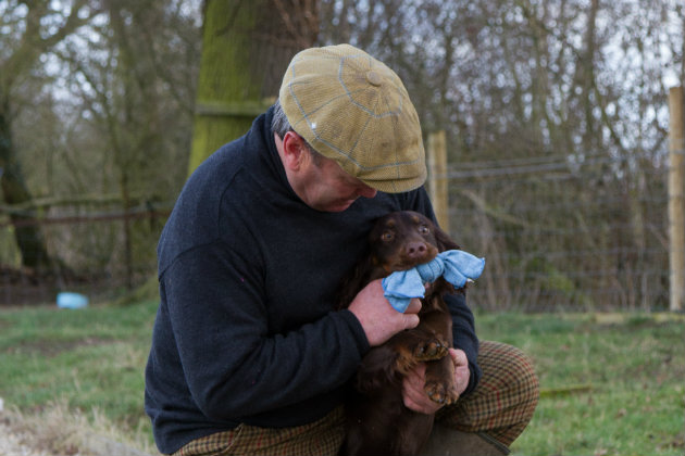 Gundog training