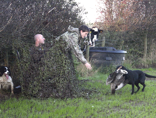 How do I stop my gundog circling me with a retrieve?