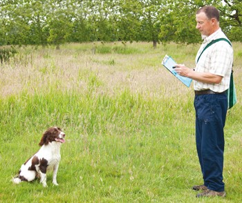 Gundog training: How to assess your puppy