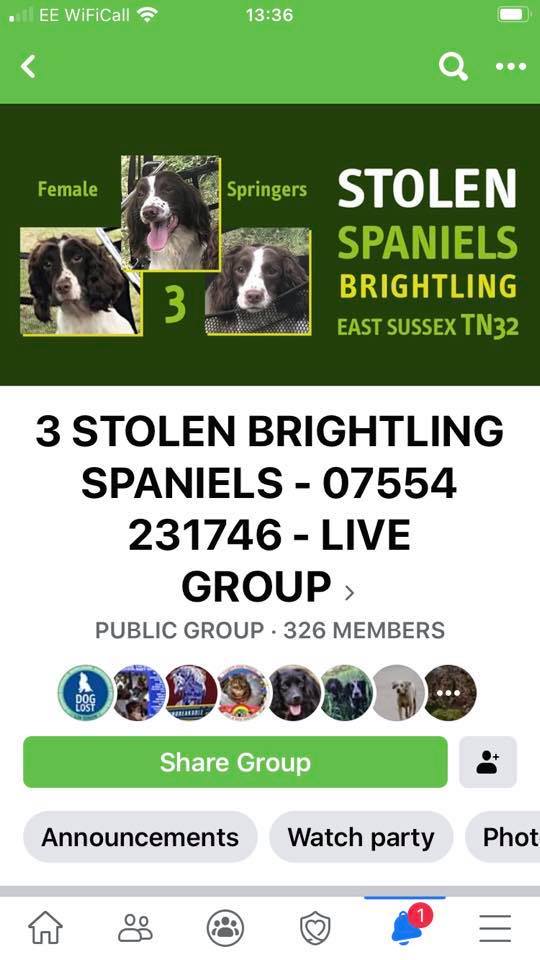 stolen gundogs