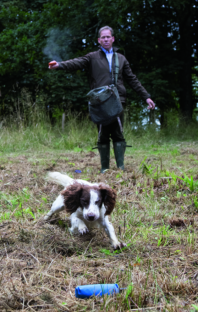 gundogs with shot and cold game