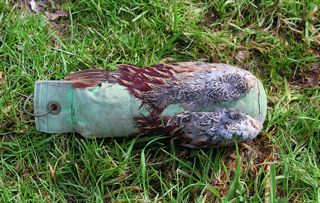 gundogs with shot and cold game