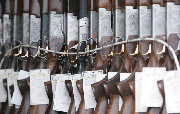 15 things to know when buying your first gun