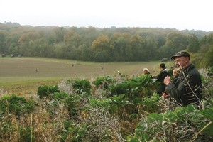 Gallery: Hampden shoot, Buckinghamshire