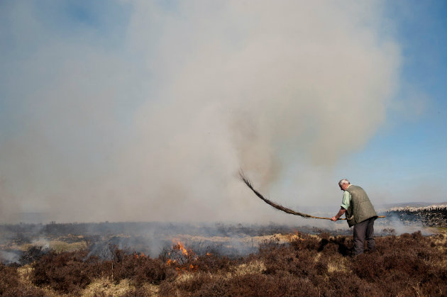 Is heather burning doomed?
