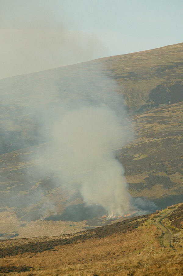 UK countryside is ravaged by wildfire