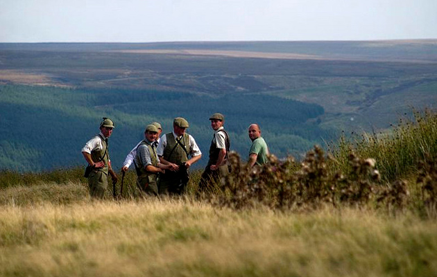 perfect gameshooting day