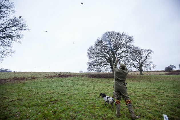 driven shooting 