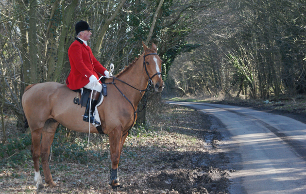 Wooler report tells RSPCA to stop prosecuting to protect reputation