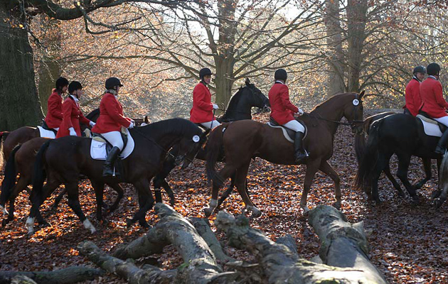 RSPCA may stop hunt prosecutions