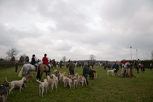 Photo Gallery: The Grove &amp; Rufford Hunt
