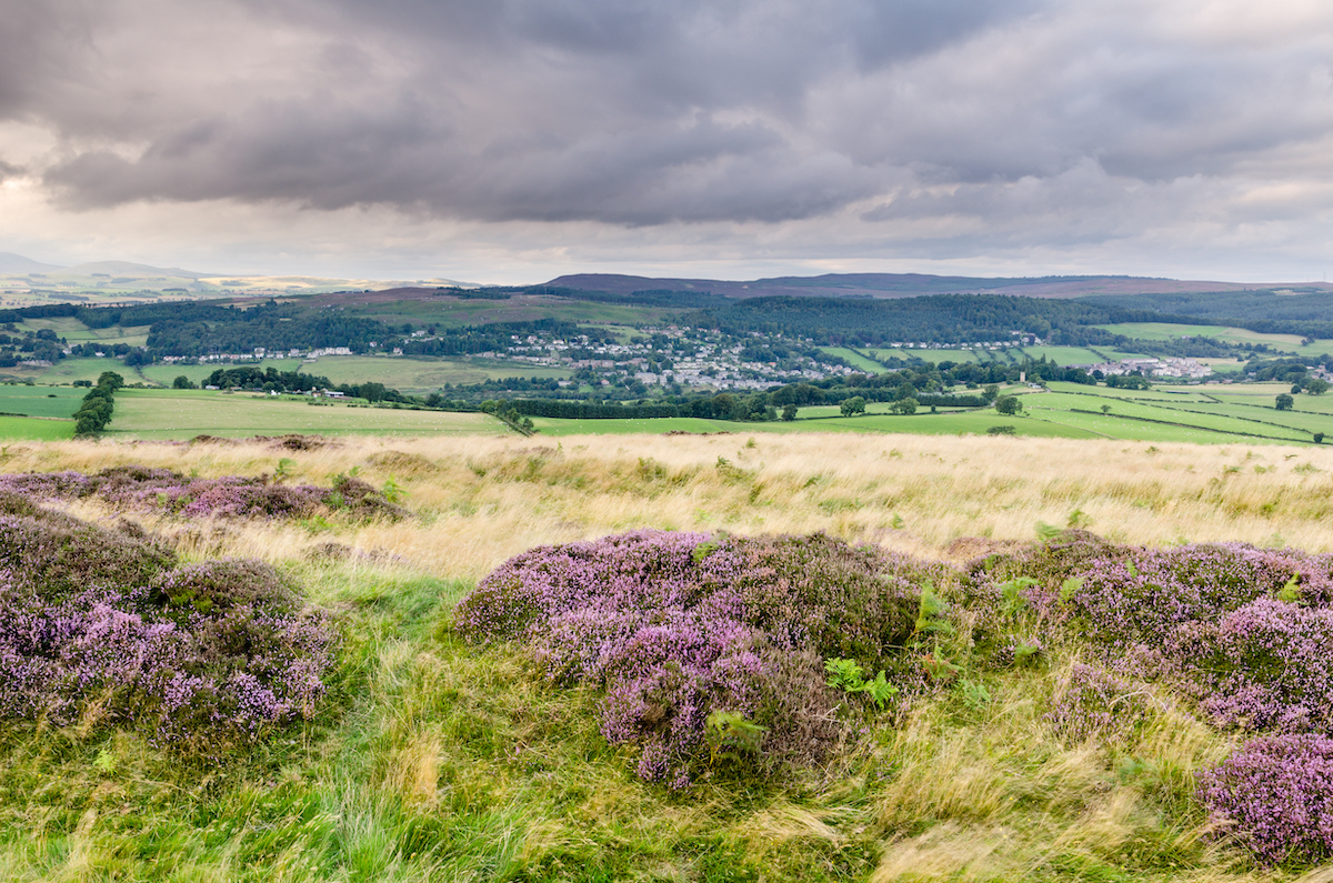 Will Brian May buy the Rothbury Estate?