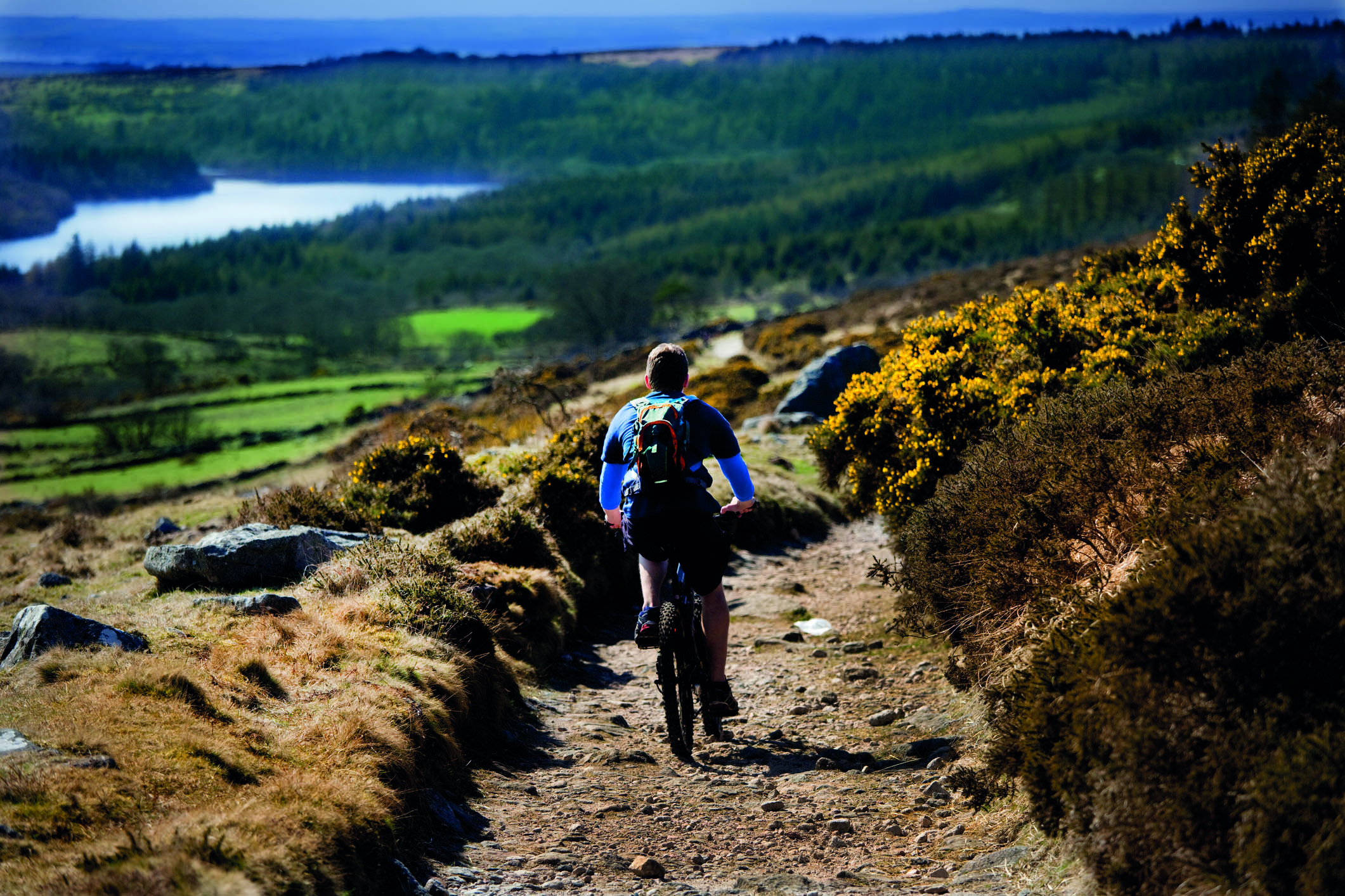 Crackdown on antisocial behaviour on Dartmoor