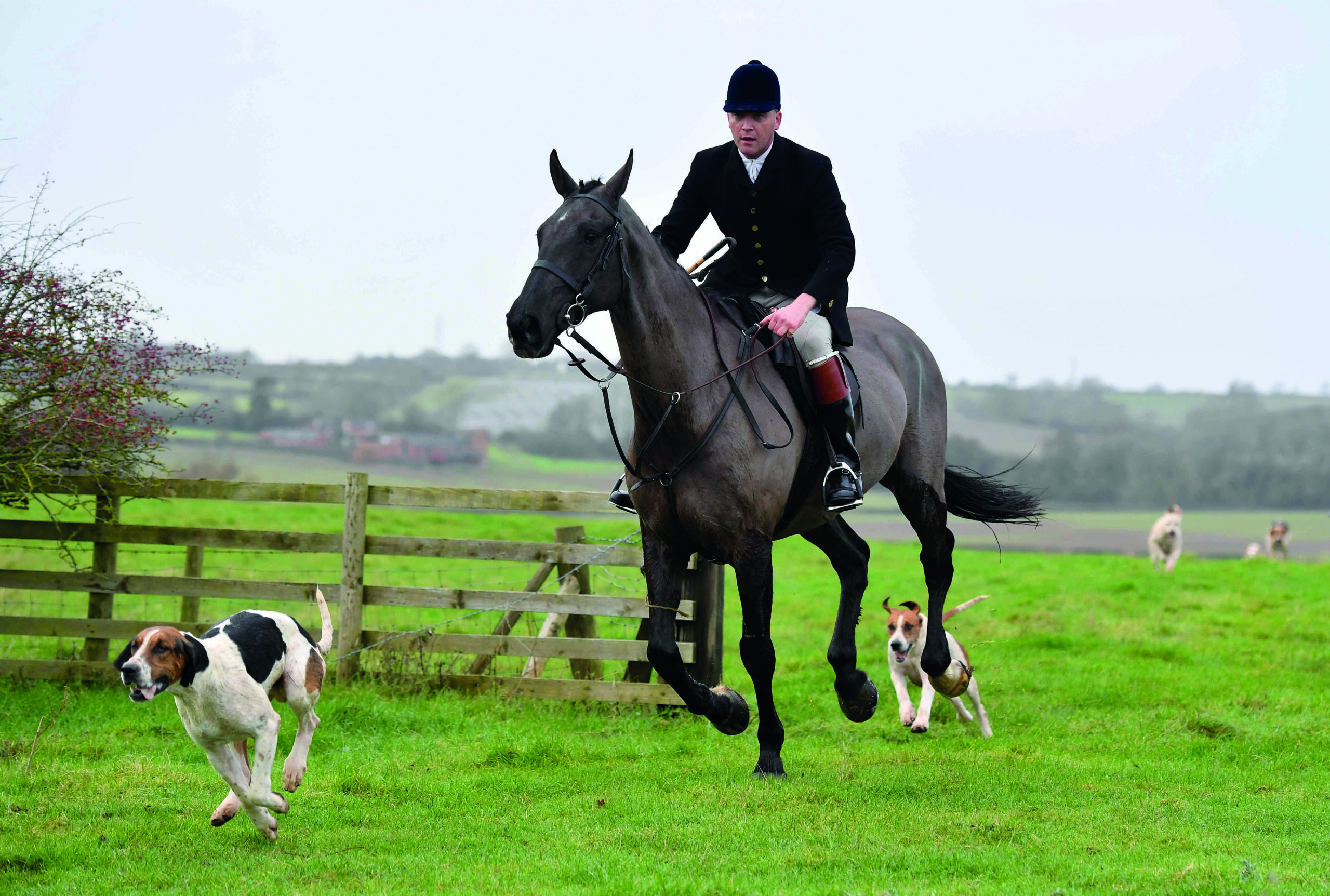Trail-hunting demonstration day held in the Midlands