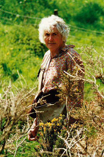 Field trial legend dies