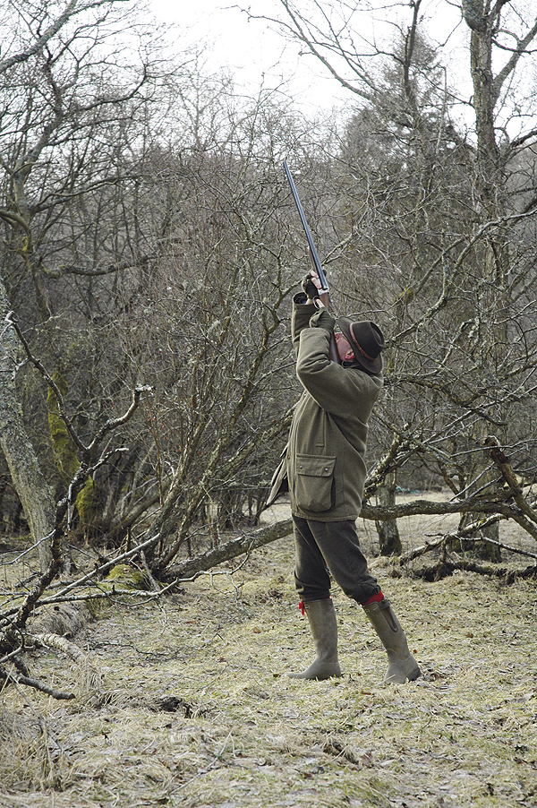 The Keenley Shoot