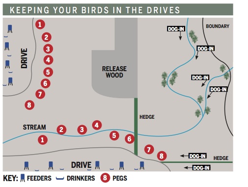 keeping birds in drives