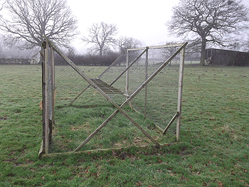 Keep clear of a corvid catastrophe