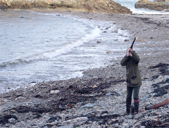 Game shooting at Mynachdy, Anglesey