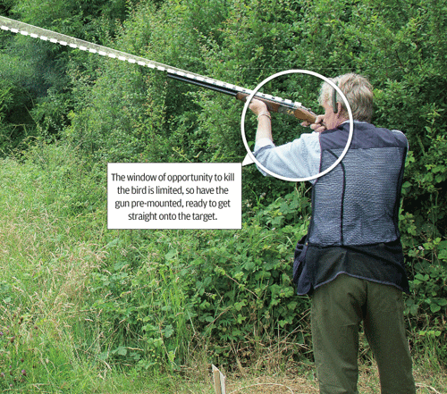 English Sporting Clays