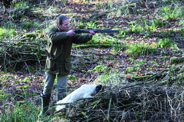 Your gundog must be steady to game - both featured and fur - accustomed to the sound of gunfire and a confident retriever (inset above)