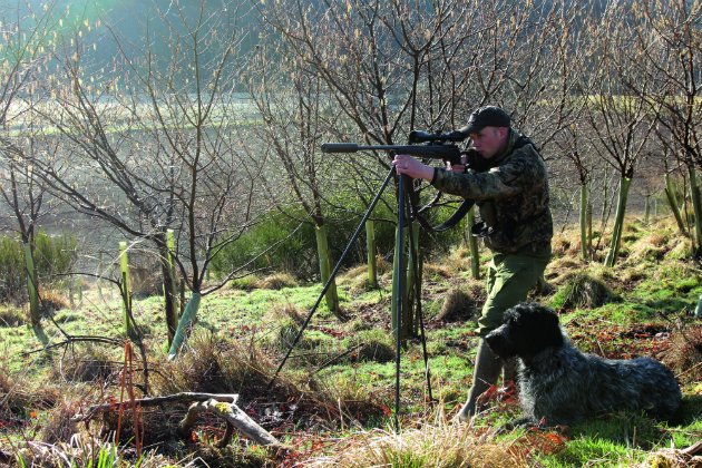 Finding the best position for rifle shooting
