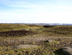 Call to license grouse moors