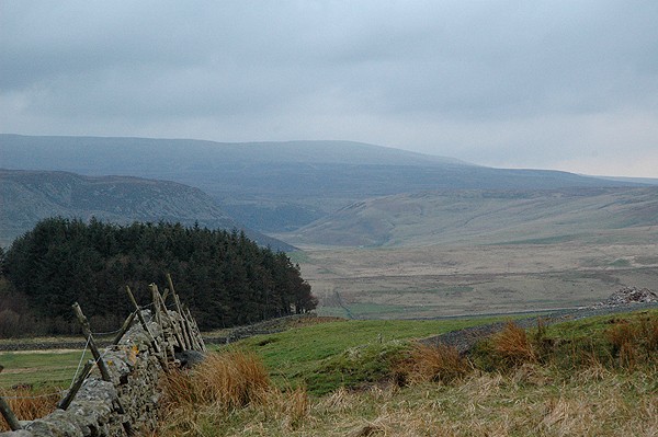 Welcome to the moor!