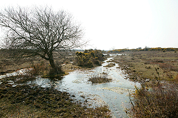 UK landscapes win lottery funding
