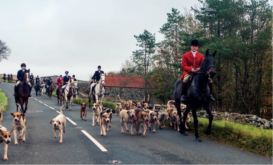 Groups ramp up campaign for ban on trail-hunting