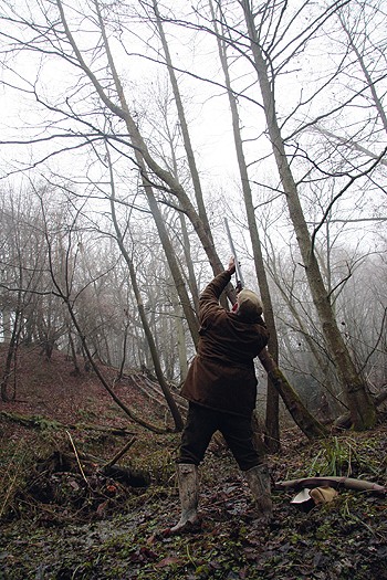 The Owley shoot
