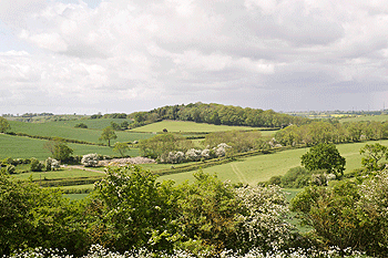 Europe-wide study on protecting nature
