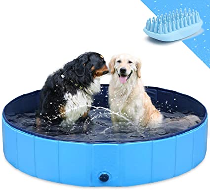 paddling pools for working dogs 