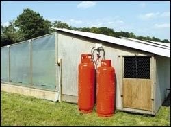 Dangers of CO gas in rearing sheds evident