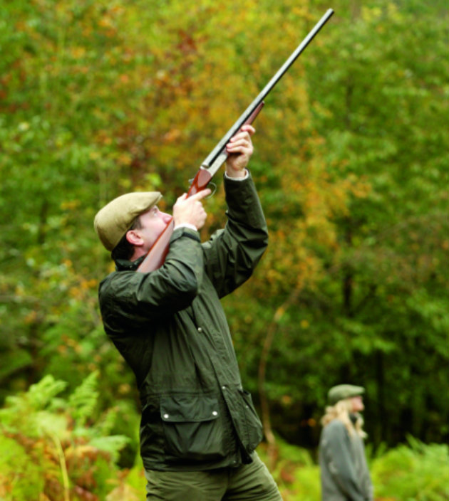 pheasant shooting technique