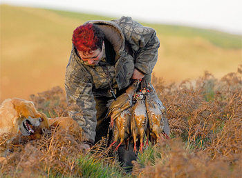 Pheasant and partridge shooting in Northumberland