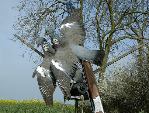 My flapper doesn&#8217;t always work when pigeon shooting!