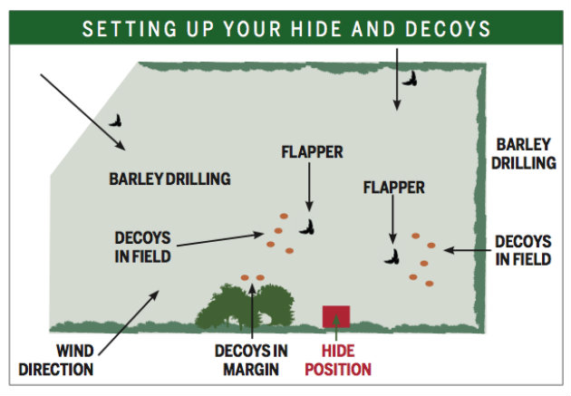pigeon map