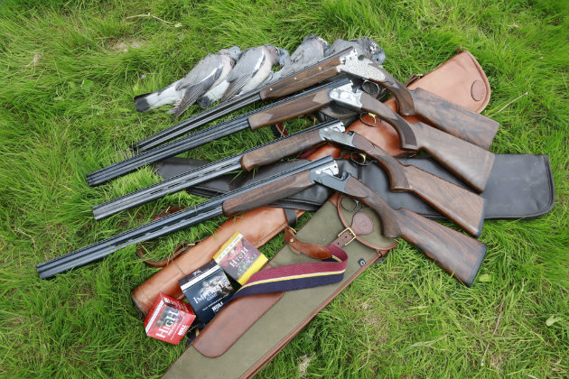 Our experts test out four different calibres pigeon shooting