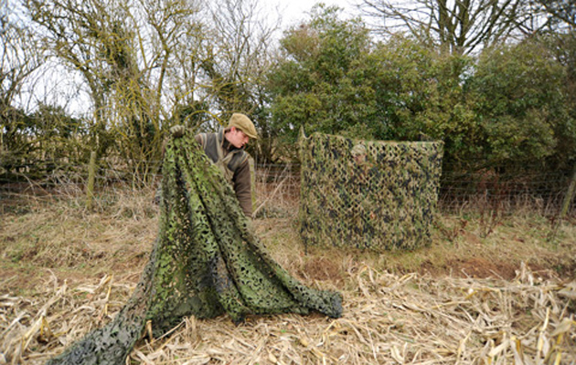 pigeon shooting tips