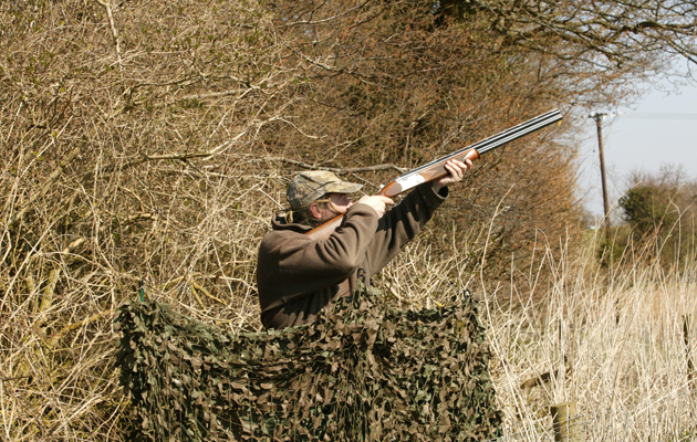 Do you shoot pigeon for sport or pest control?