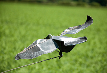 Have rotary decoyers made pigeon shooting more difficult?