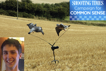 Pigeon shooter is aquitted after refusing caution from Police