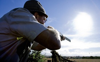 Is pigeon shooting over muck heaps an option?