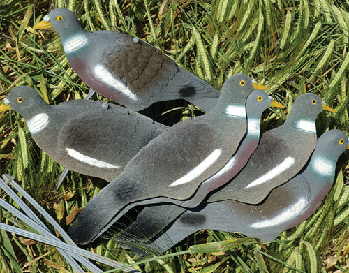 Are dead birds better than plastic for pigeon shooting?