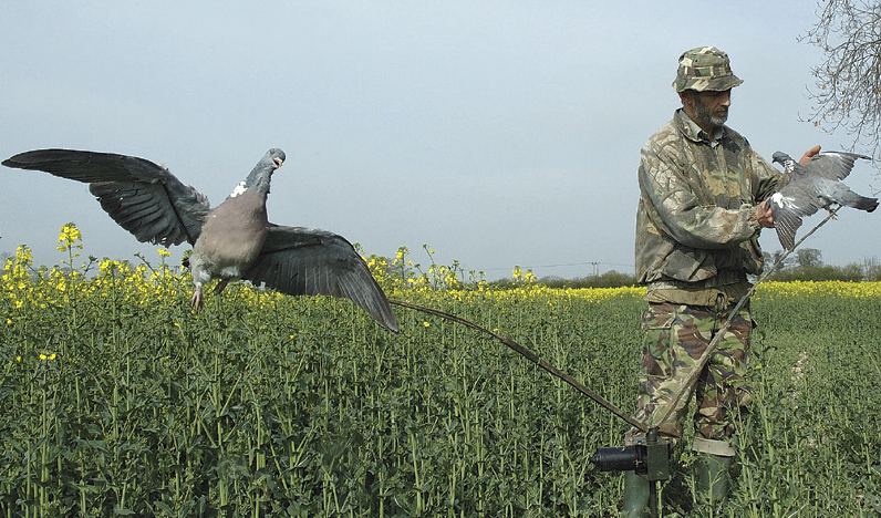 Can you get wireless, radio operated speed controllers?