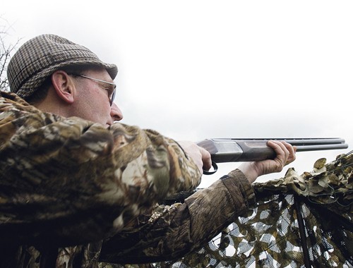Pigeon shooting: The year ahead